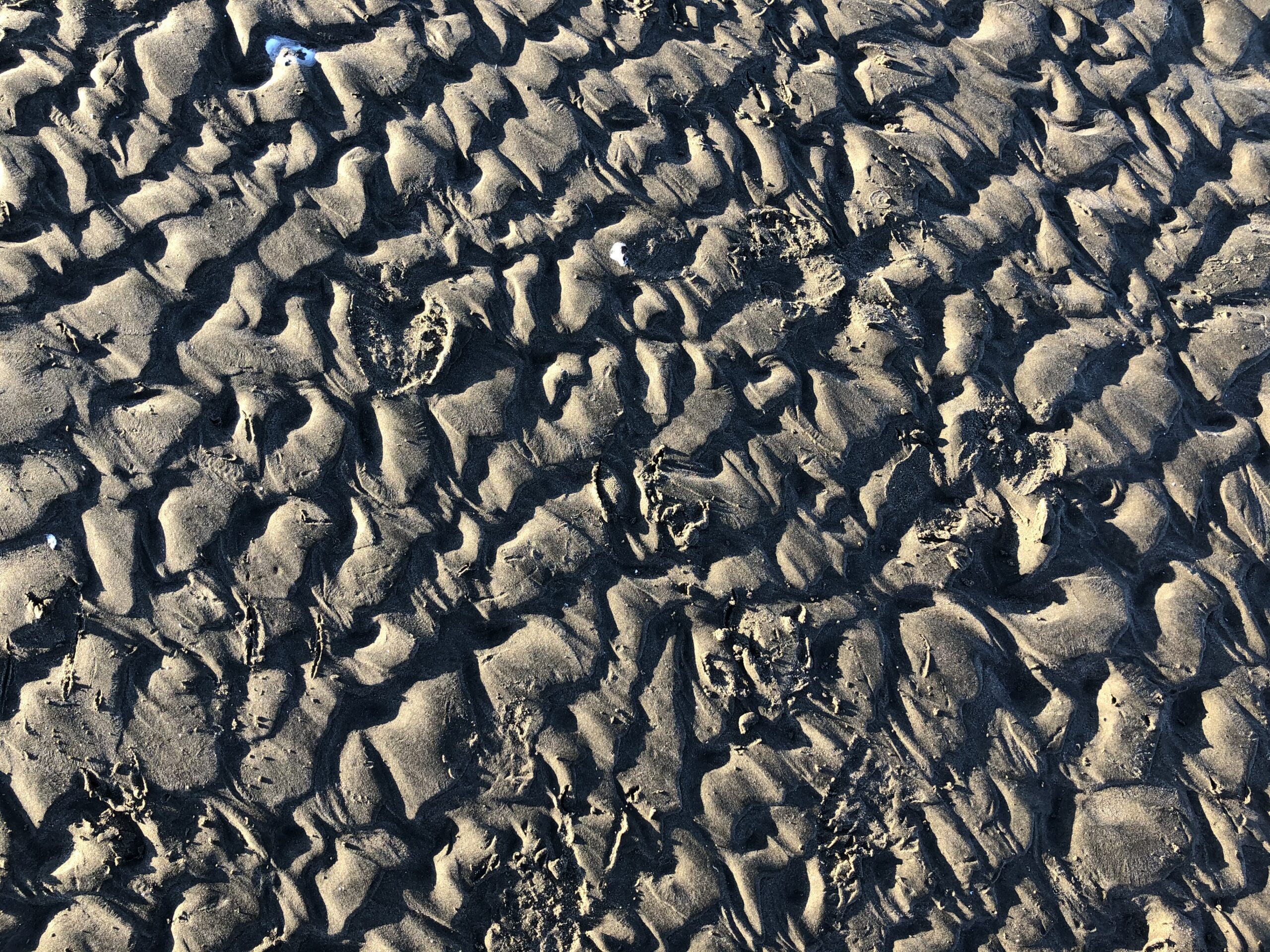 Trust follows consistency